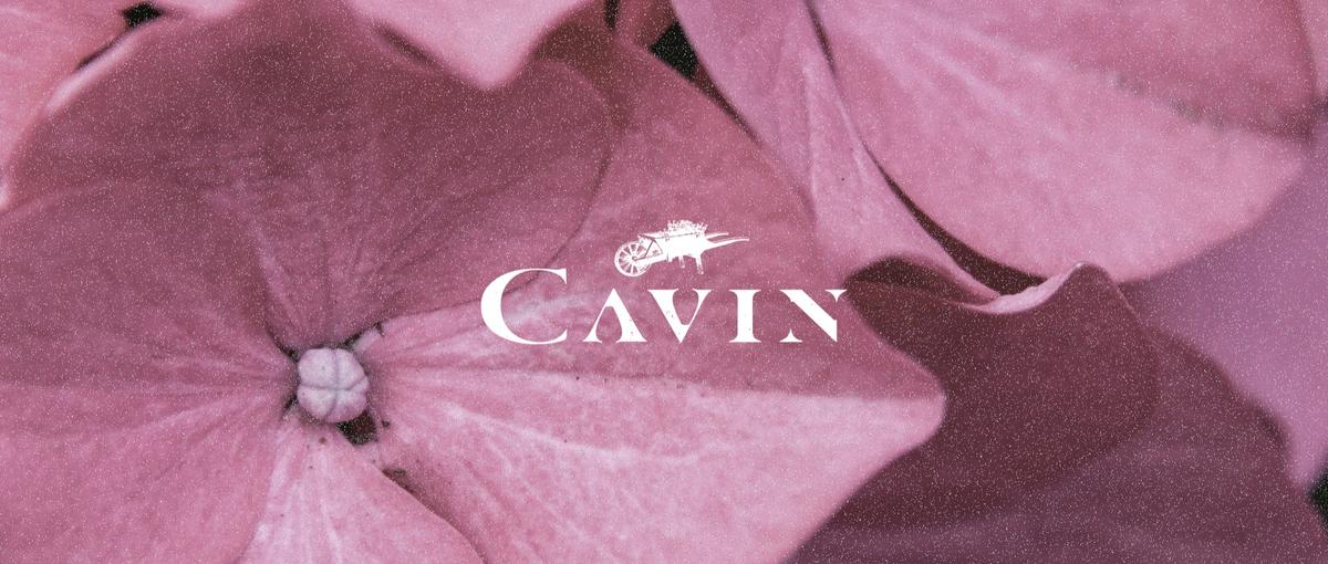 オープンポジション｜CAVINが目指す世界を一緒につくりませんか？