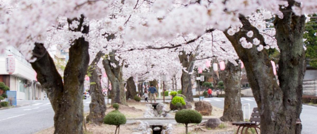 若者が選ぶ住みたい田舎No.1！飯田市で未来を創る仕事を体験しよう