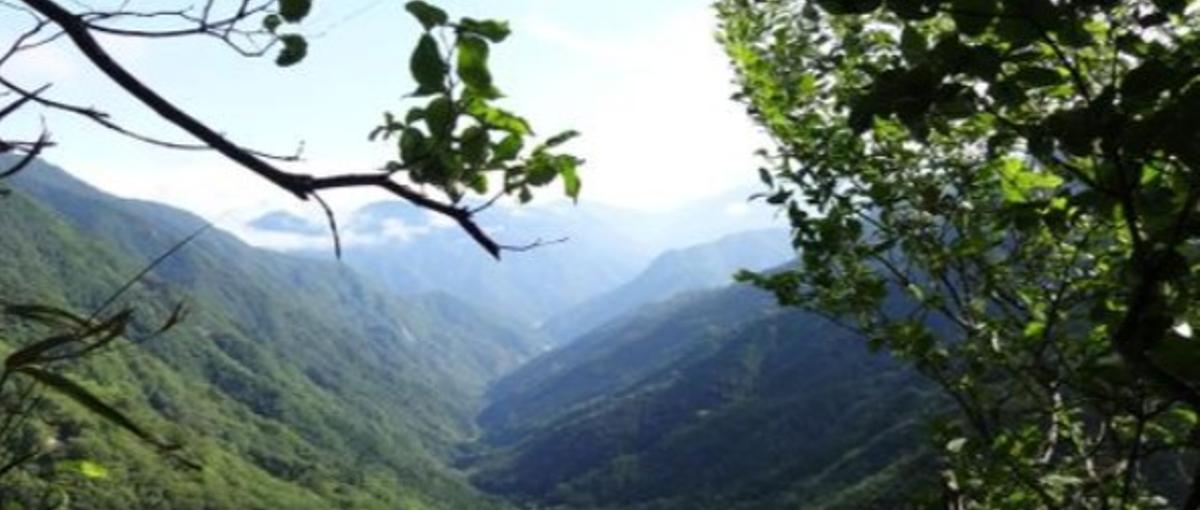 自然と最先端技術のコラボ！飯田市で光学技術のエキスパートになりませんか？