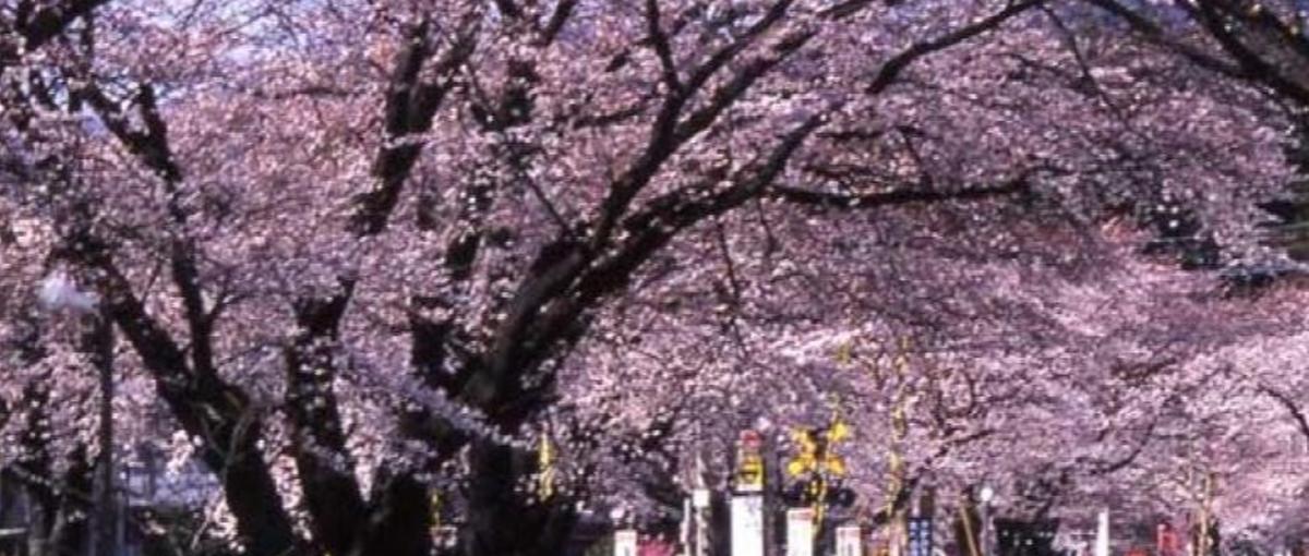 光学の力で未来を創る！自然あふれる飯田市でキャリアをステップ｜製造職募集中