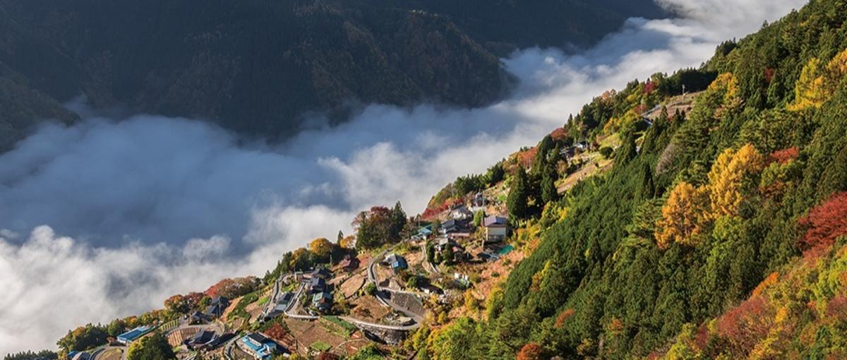 全国有数の果物生産地である飯田市で新たなキャリアを歩みませんか？