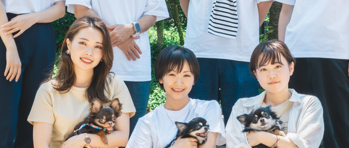 インハウスWEBマーケター｜業績右肩上がりの事業会社で通販のプロを目指そう