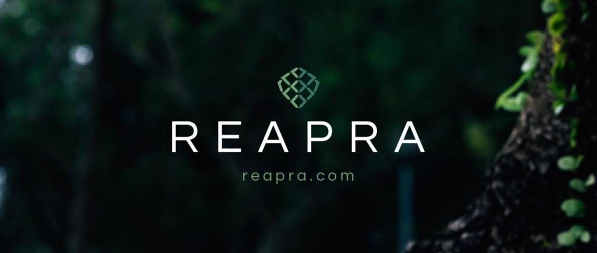 福岡の学生必見！起業家に投資・学習支援する会社でのマーケティングインターン