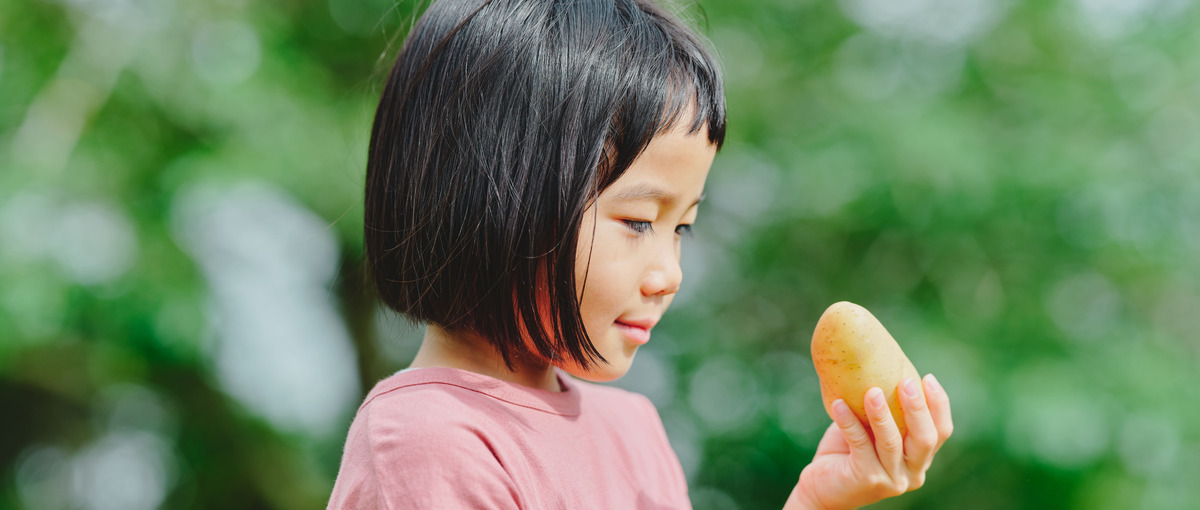 地域の未来とブランドをつくる。若手クリエイティブディレクター募集