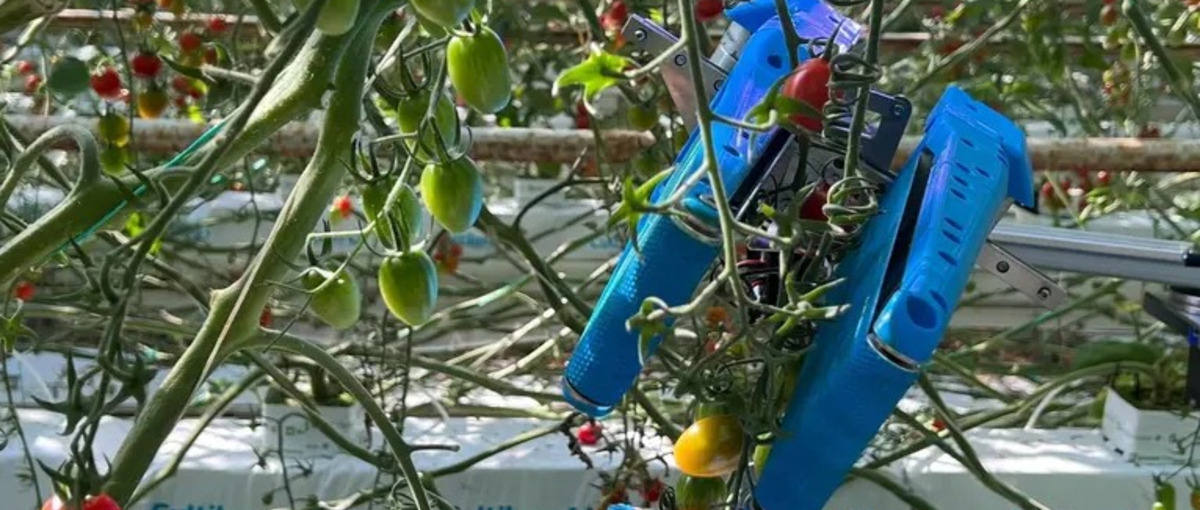 農業×AI×ロボットで人材不足解決に挑む。画像認識AIエンジニア募集！