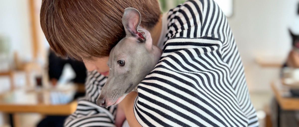 さまざまなスキルが手に入る！ユーザー目線で学び続けられるCS募集！