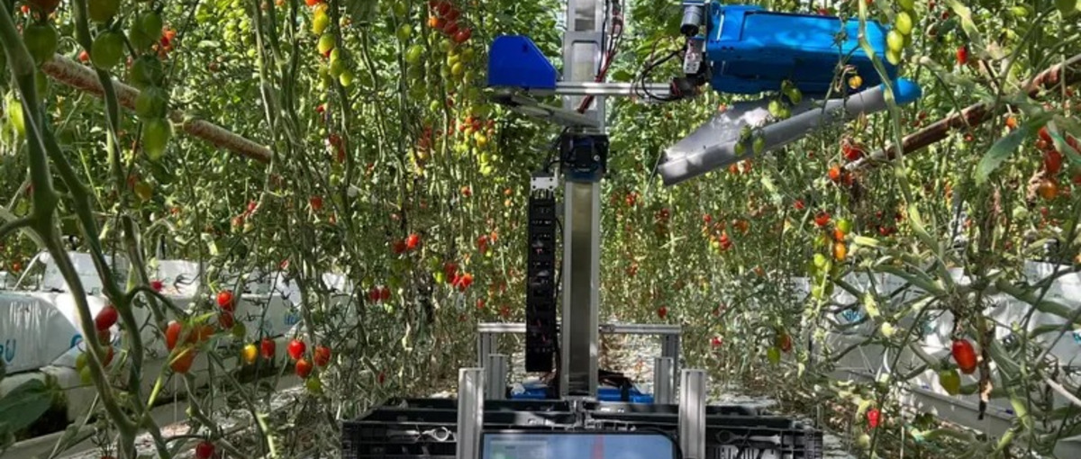 テクノロジーで農業を持続可能なものに。アグリコミュニケーターWanted！