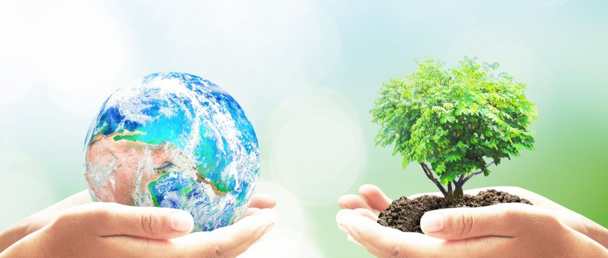 創業メンバー募集！GX/サステナブル領域のスタートアップに挑戦しませんか？