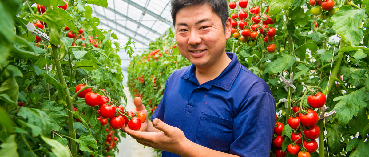 農業の未来を変えるチャンス！データと育む農業モデルのパイオニアを募集中！