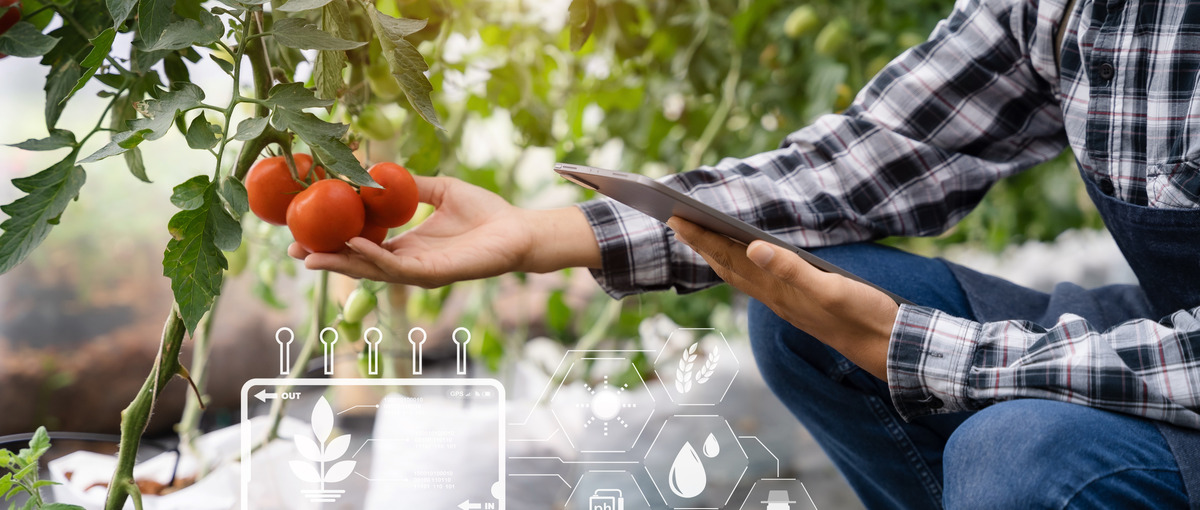 最先端のAIテクノロジーを活用し、フルスタックに活躍したいエンジニア募集！