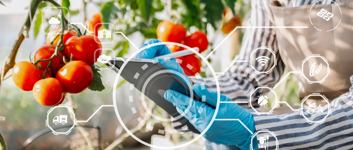 データのチカラで農業をハックする、データエンジニアの学生インターンを募集！