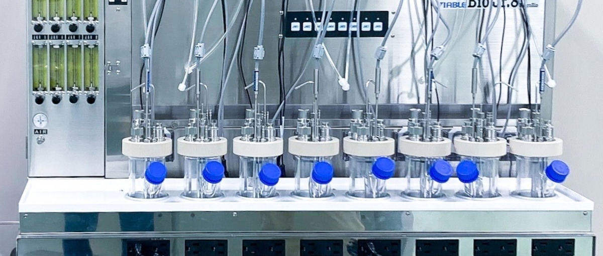 経理・労務・総務等のコーポレート業務全般を担当いただけるリーダー候補募集