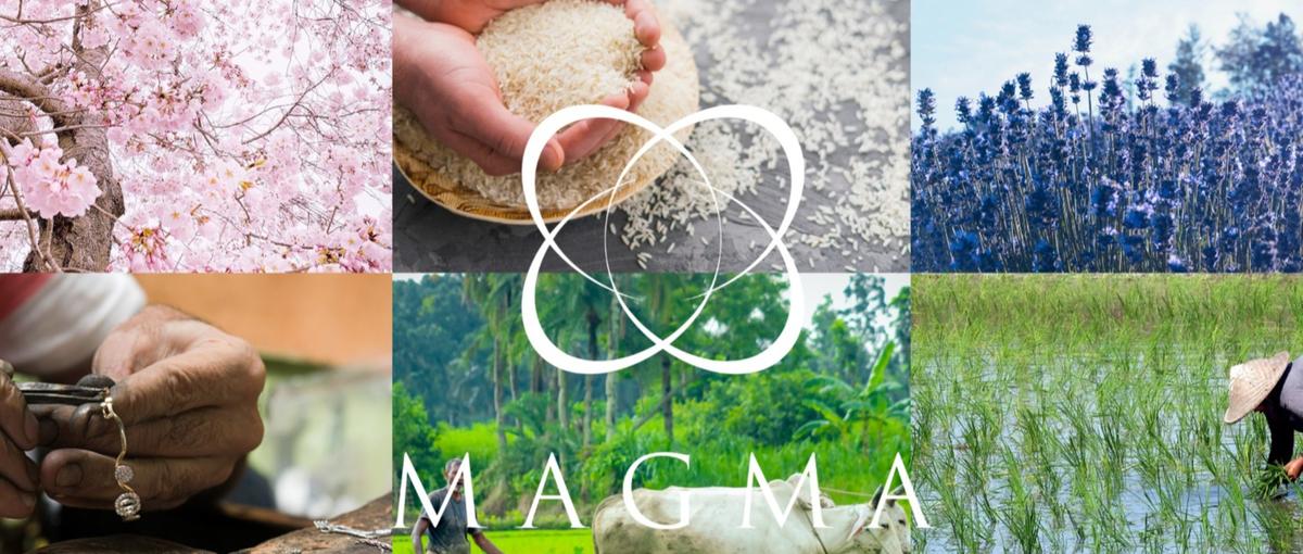 インバウンドへ日本の魅力を発信！5年後海外拠点も！オープンポジション募集！