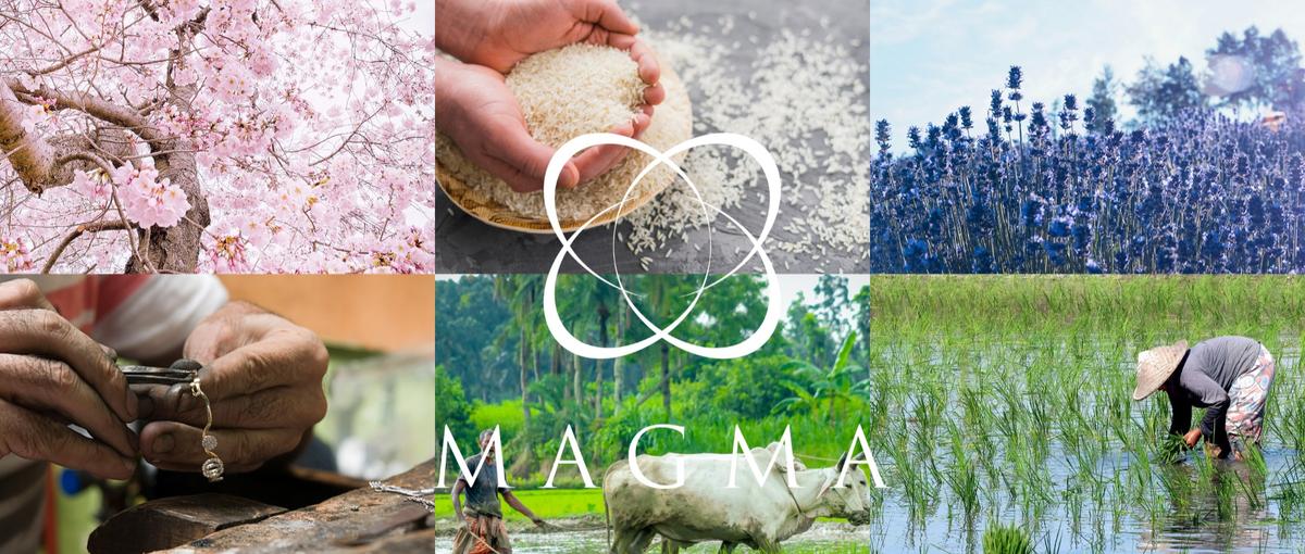 地方のスタートアップで全く新しい体験型アクティビティリゾートを作りませんか