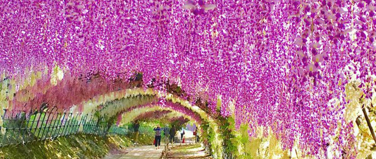 経験なしOK！空き家再生で地域に貢献する仕事＠北九州