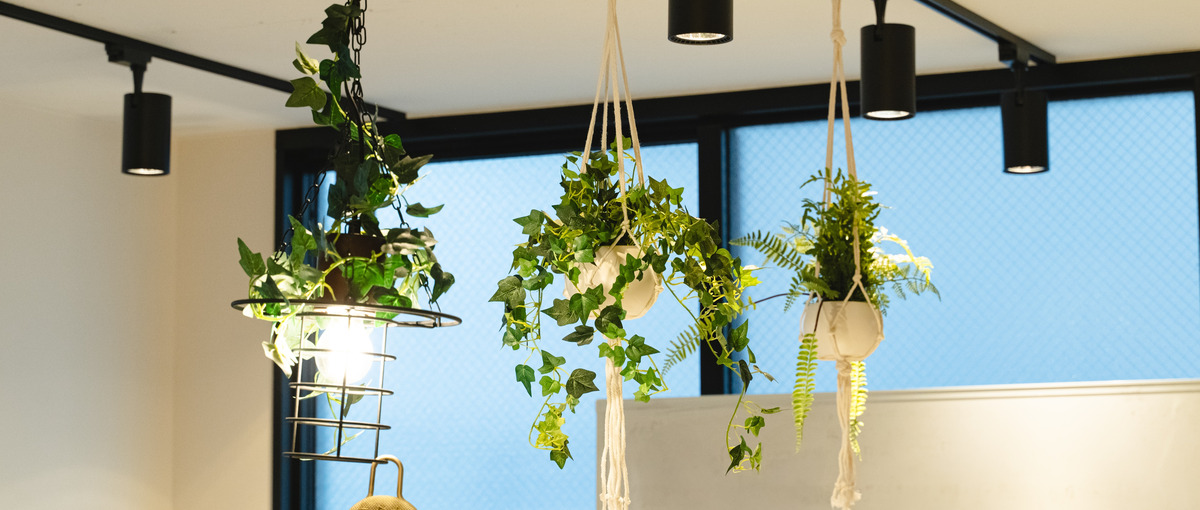 ライター I 教育コンテンツを制作するシナリオライターをお任せします！！