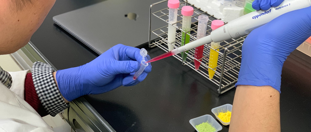 もったいないを解決、未利用野菜を活用する技術の研究開発メンバーを募集