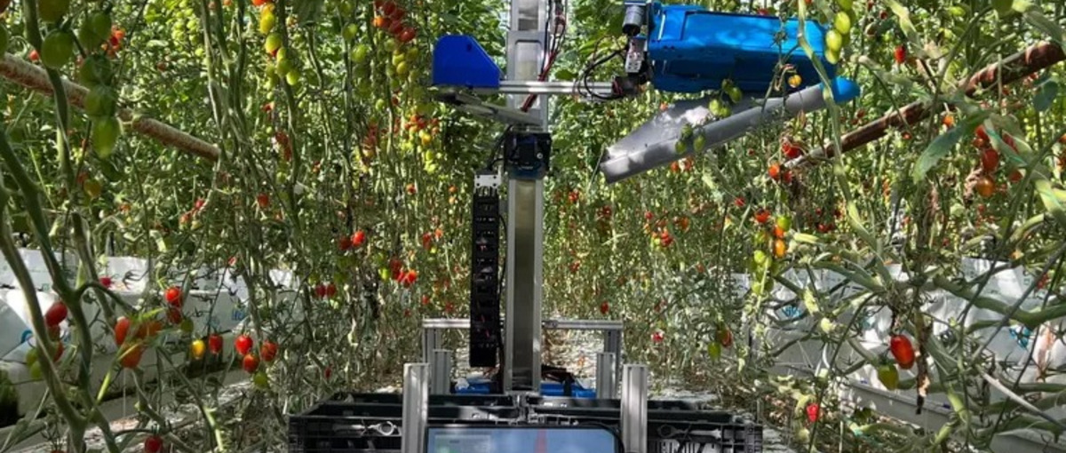 AI技術で未来の農業を創るコンピュタービジョンエンジニアWanted！