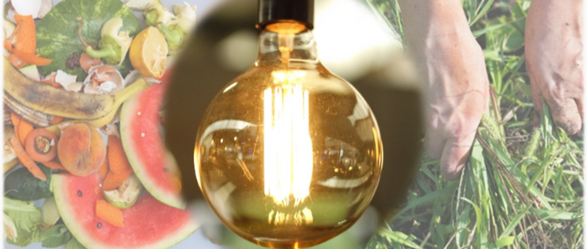 雑草を電気に変える！新しいメタン発酵技術を用いた事業立ち上げメンバー募集