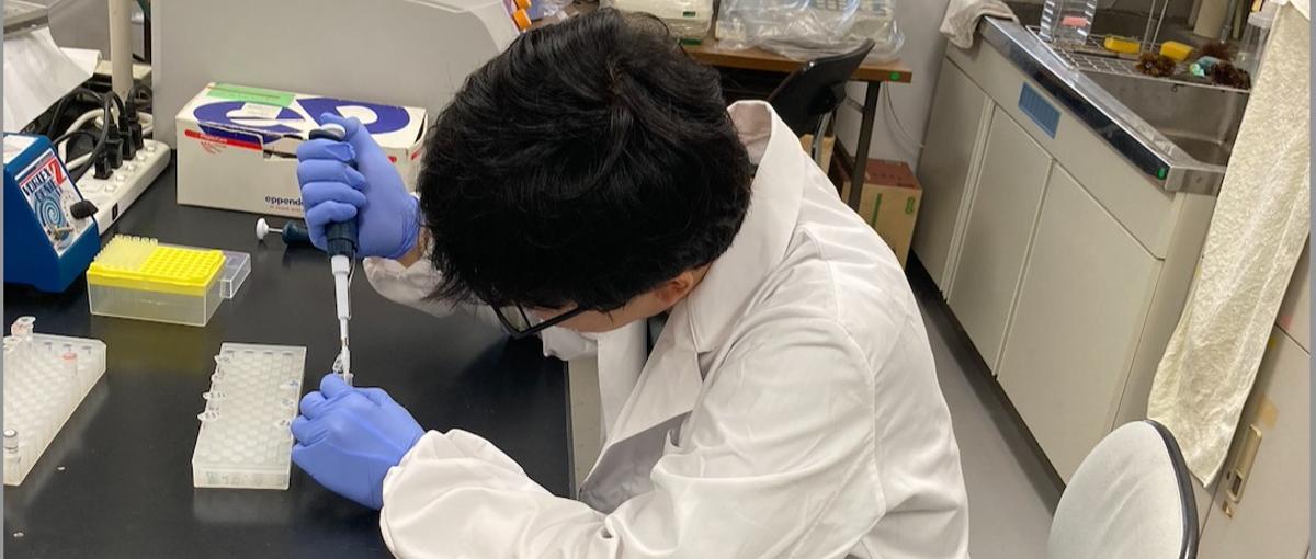 ウェブマーケター募集！予防医学を通じて社会を良くしませんか？