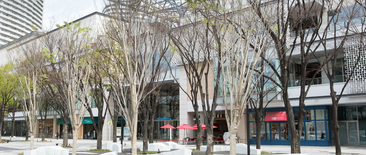 新規サービスリリースに伴うオウンドメディアの立ち上げリーダー募集！