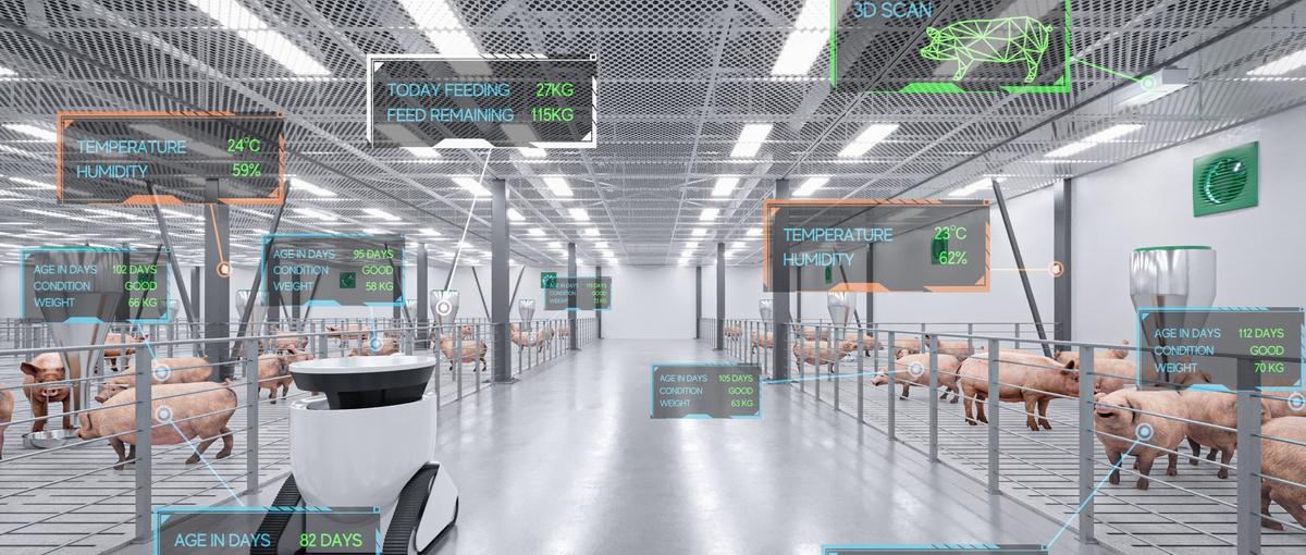 本物のお肉を食べることのできる未来を創る！豚AIカメラの開発メンバー募集！