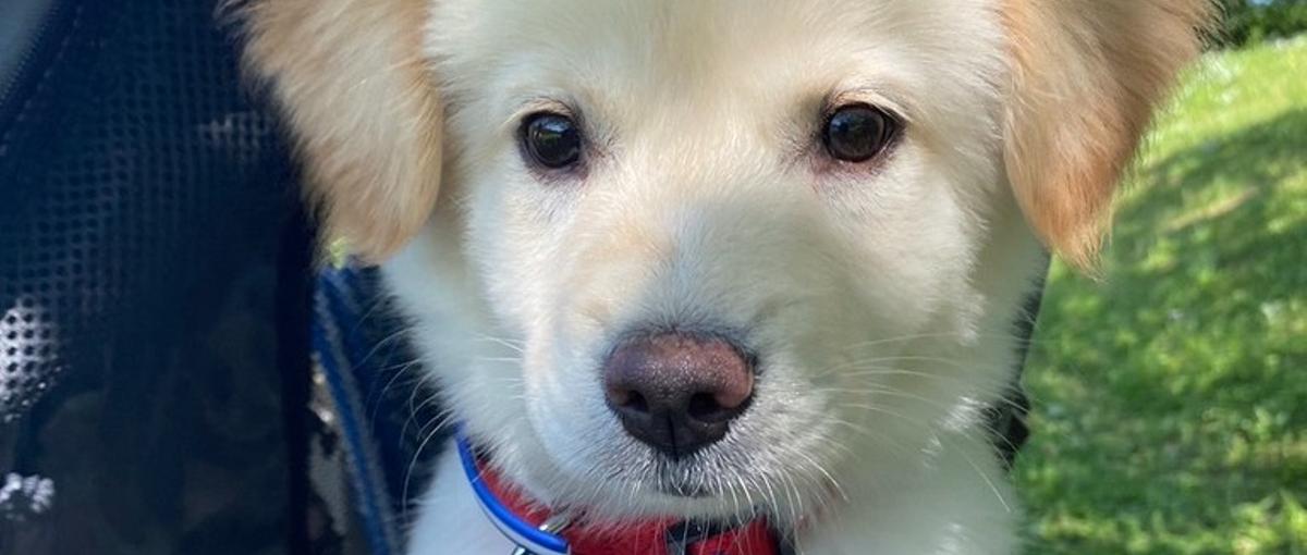 PdMとエンジニアの壁、ありません。企画から開発まで全部できる環境！