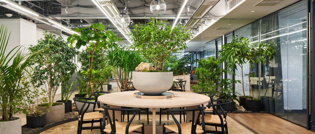 財務経理｜音楽・声優事業を主軸に成長するベンチャー企業で働く