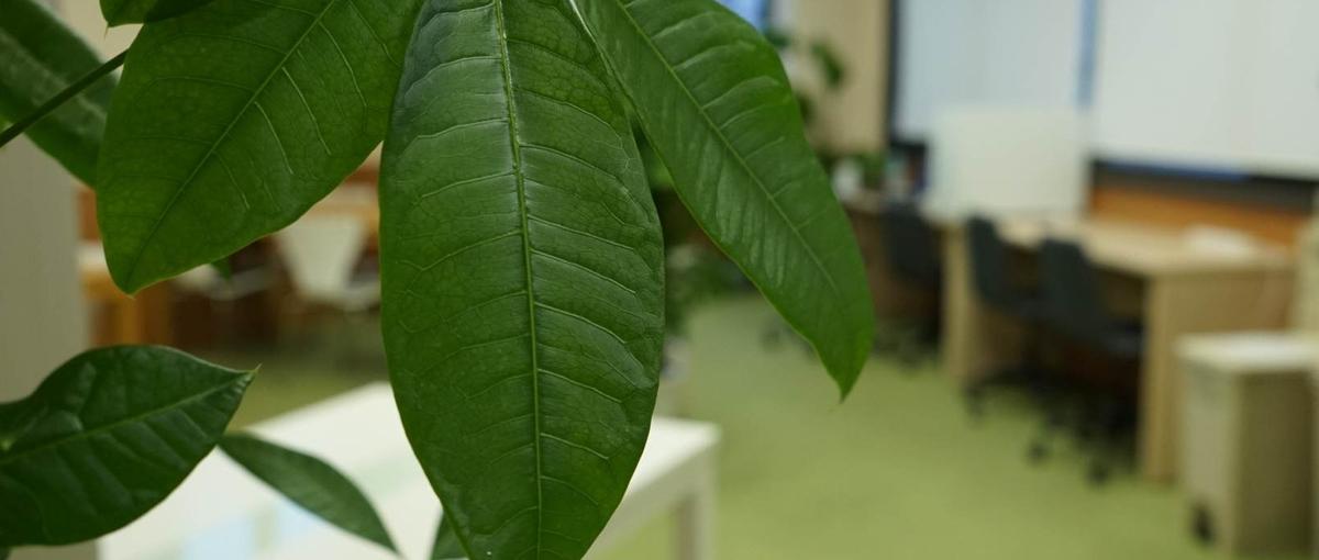 フロントエンドエンジニア募集！児童虐待問に興味のある方歓迎！!IT×福祉