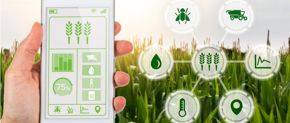 一緒に未来を創る！スマホアプリエンジニア大募集！				