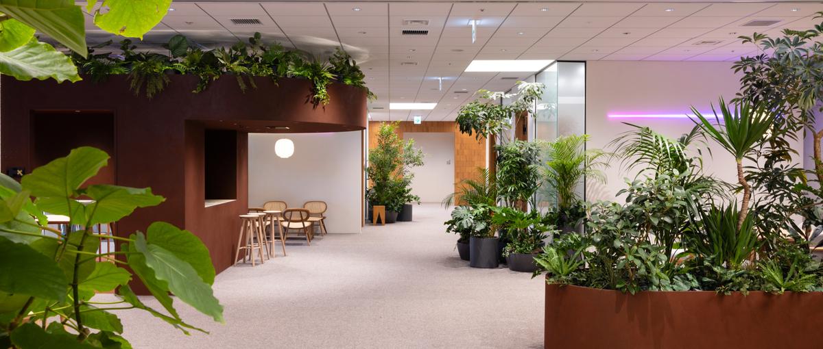 オープンポジション/自社サービスの設計〜運用改善にチャレンジしたい仲間募集