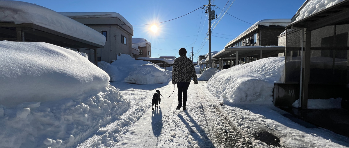 雪の晴れ間に愛犬のおさんぽ、自由と裁量を持って攻めるCS募集！