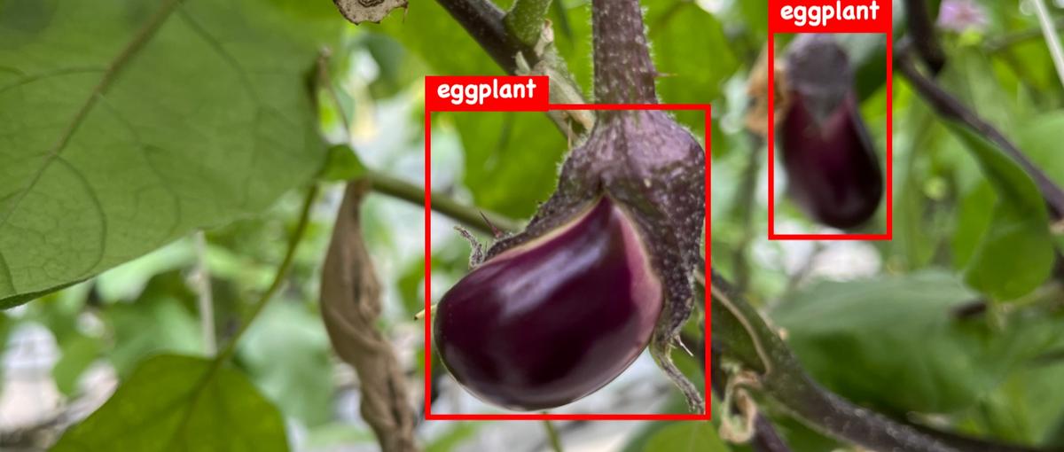 東大発アグリテック企業で画像解析しませんか？機械学習エンジニアを募集！