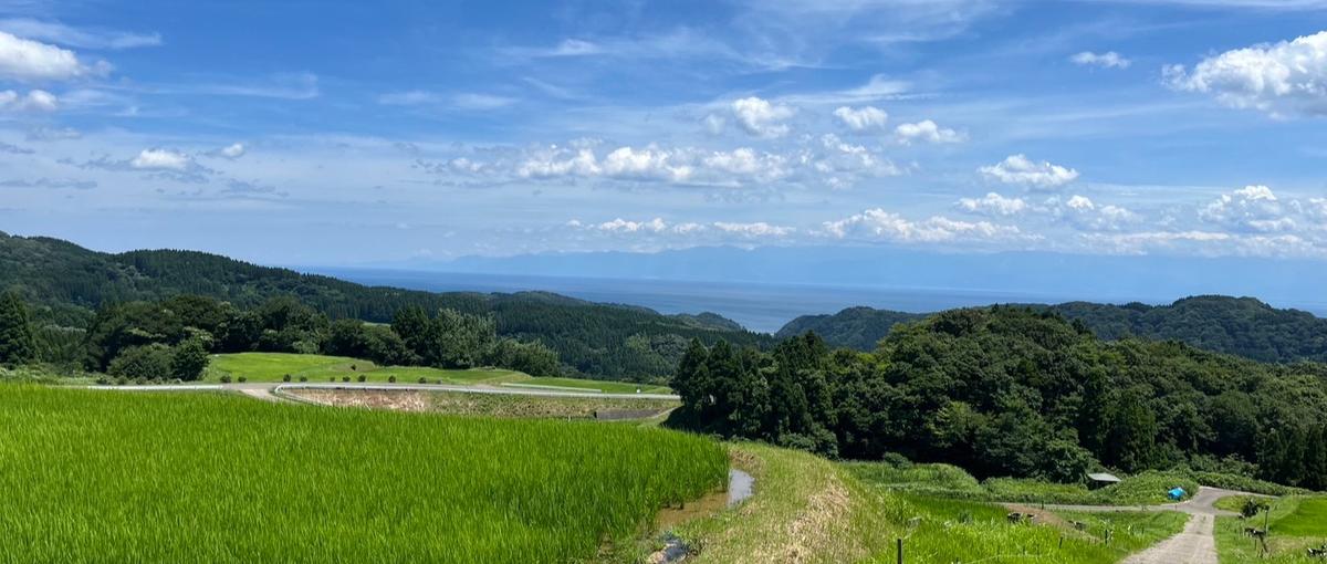 農業×テクノロジー×観光で、氷見の地方創生ホテルで立ち上げ～運営責任者