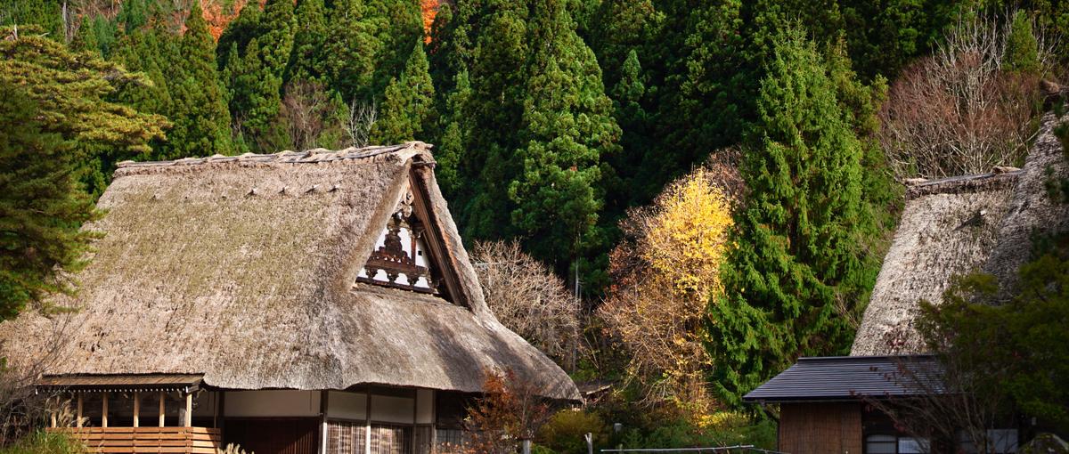 最短1ヵ月で事業責任者！インバウンド旅行ツアー事業で事業責任者候補募集！