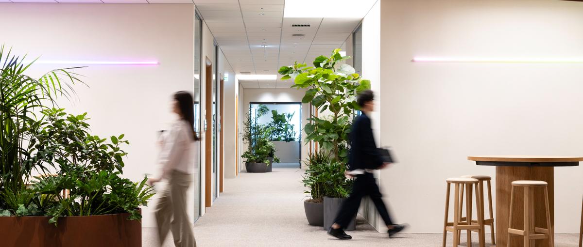 RAKSULすべてのクリエイティブを向上させるコミュニケーションデザイナー