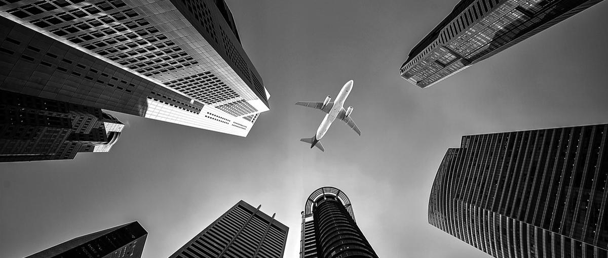 語学力を活かして活躍する！