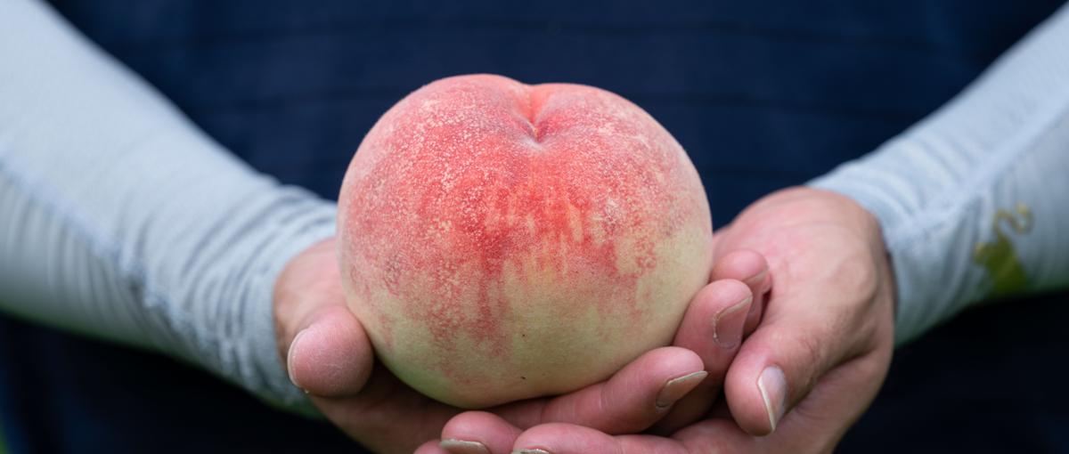 食で地域を元気に！飛騨の特産品を企画開発する、事業企画・開発ポジション