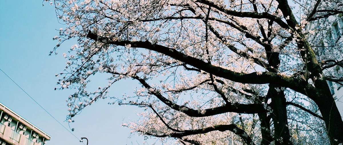 経験なくてOK!受託開発で実績を積みながらエンジニアデビューしませんか？