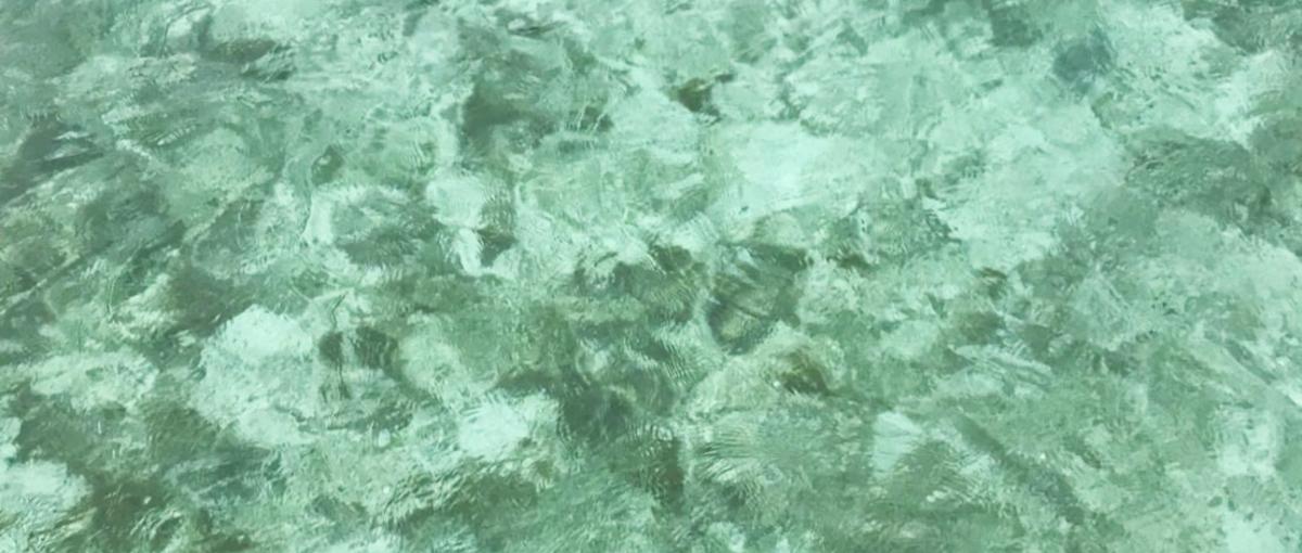 Photoshop＆Illustrator業務のデザイナー募集