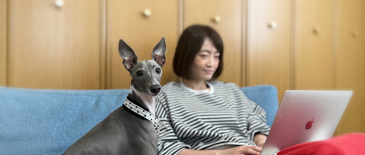 土日祝こそ働きたいあなた！テレフォンオペレーターやってみませんか？