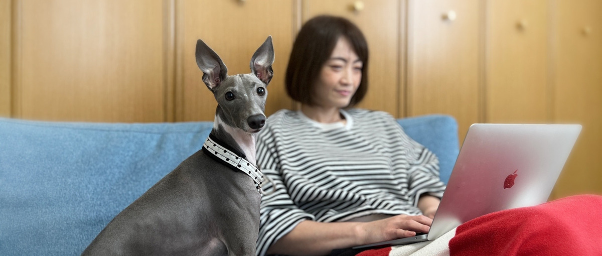 深夜〜早朝にながらでできるカスタマーサポートやってみませんか？