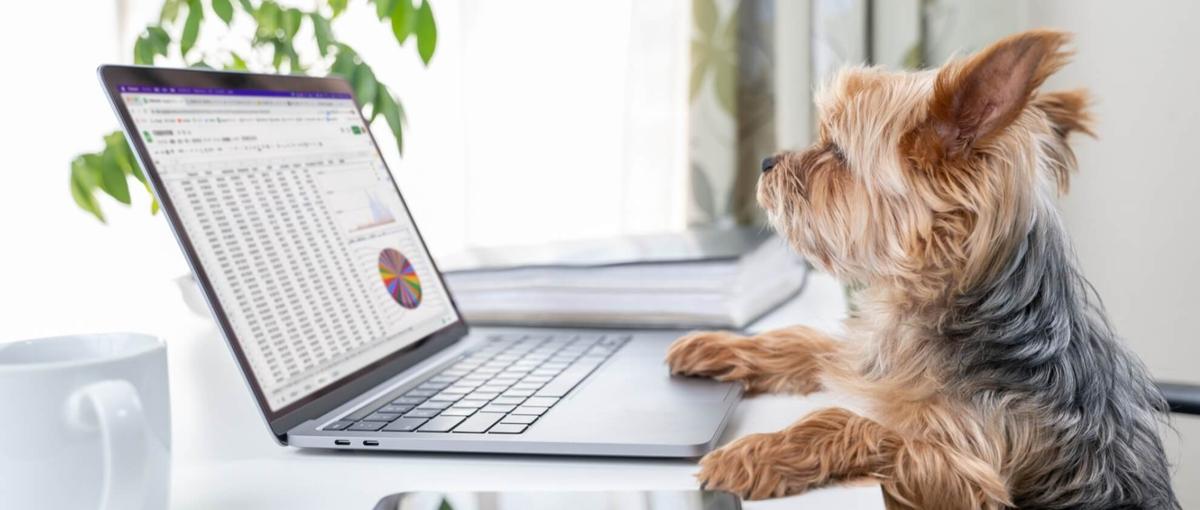 ペットの家族化推進！動物病院や牧場の未来を創るキャリアアドバイザー大募集！