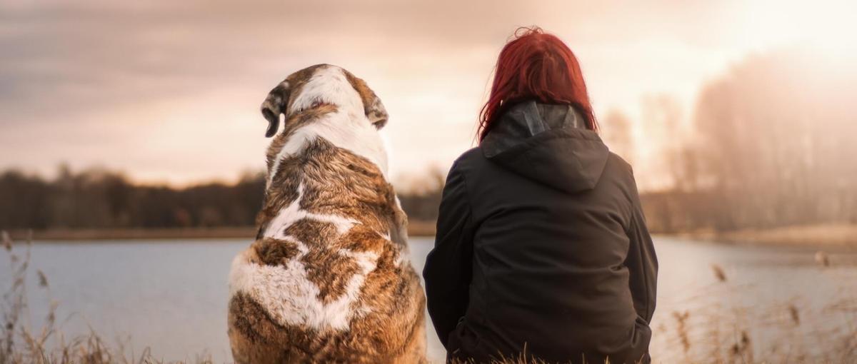 システム責任者候補大募集！開発 × インフラをメインで担当いただきます！