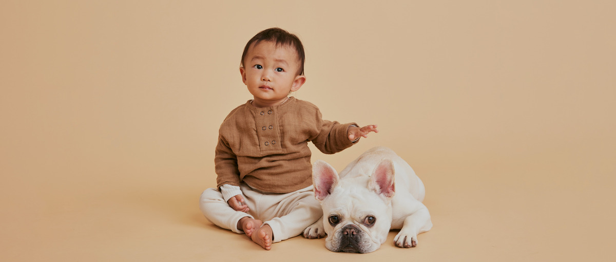 犬好きで、インスタの投稿制作がお好きな方募集中！