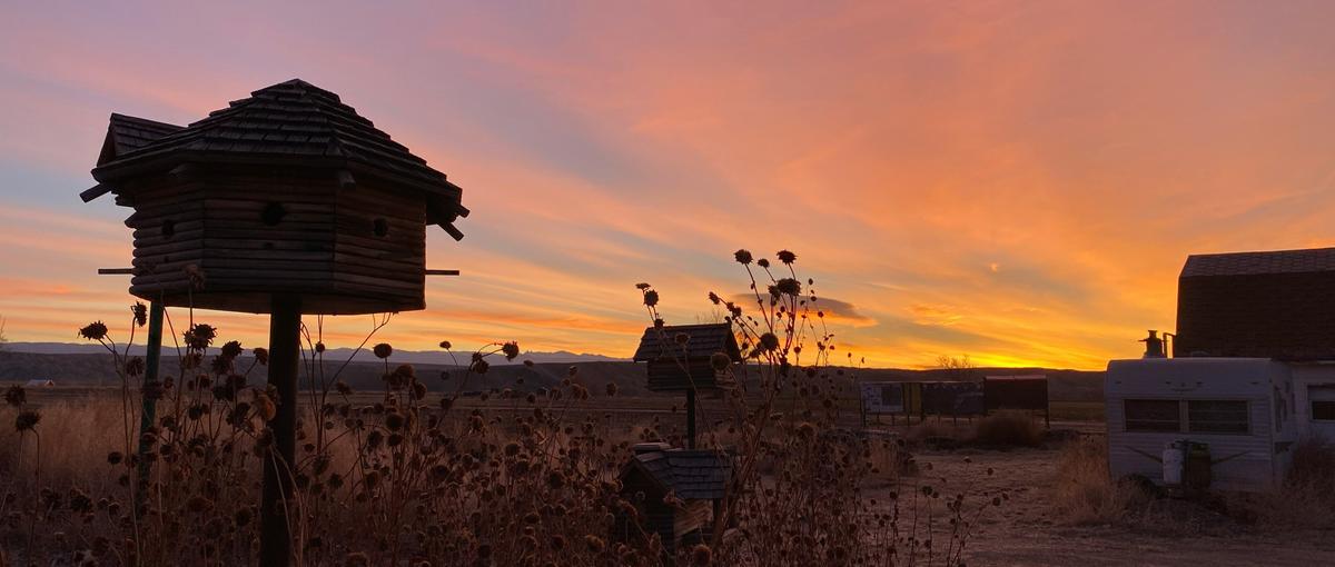 新卒採用｜消防士の抱える課題を解決する企画提案職を目指そう！