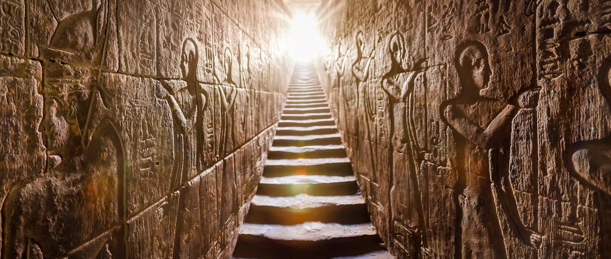 オープンポジション｜貿易会社×飲食でイノベーションを共創する仲間を募集！