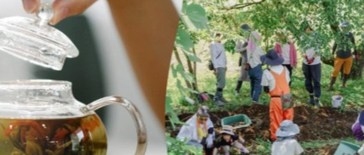 畑と都市をつなぐファームプロジェクトのPRサポートメンバー募集！