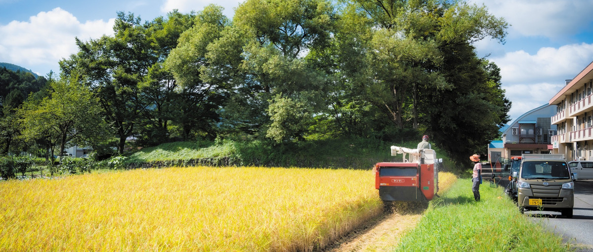 地域の食の未来をつくる、クリエイティブディレクター募集