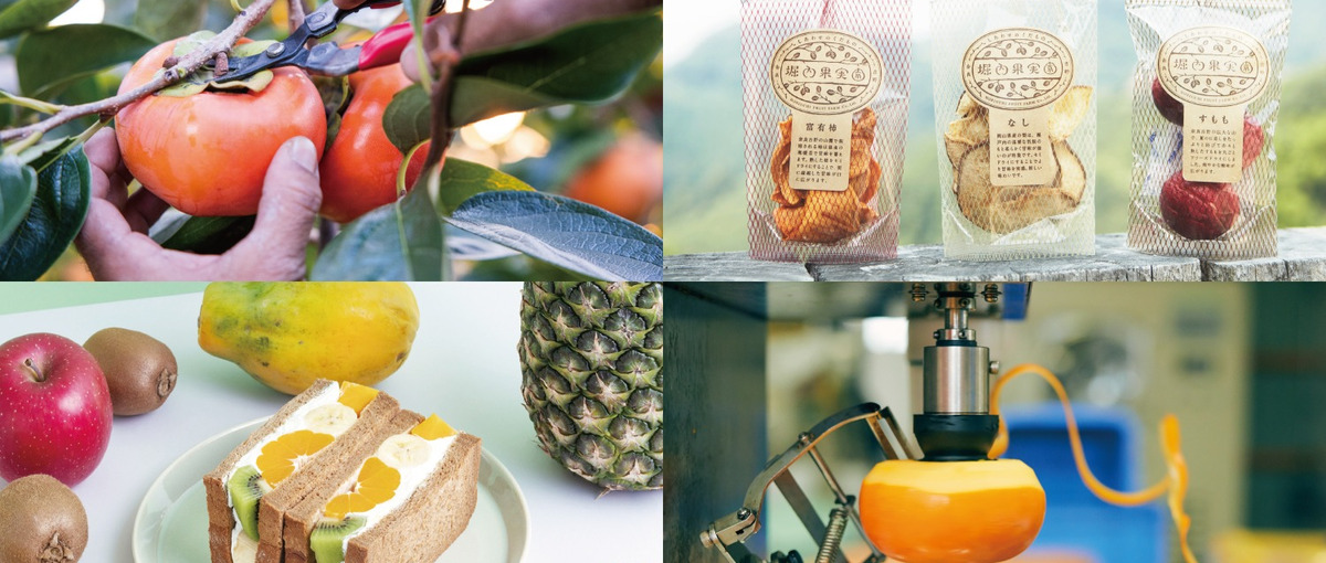 果実園×加工×販売×カフェ！六次産業化を目指すカフェのオープニング募集♪